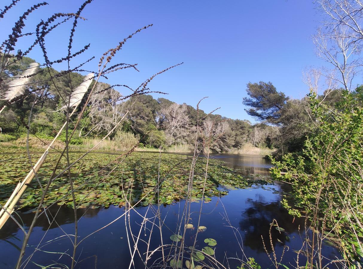 Domaine De La Coudouliere, Vue Mer, Plage, Piscine Et Parc Six-Fours-les-Plages Dış mekan fotoğraf