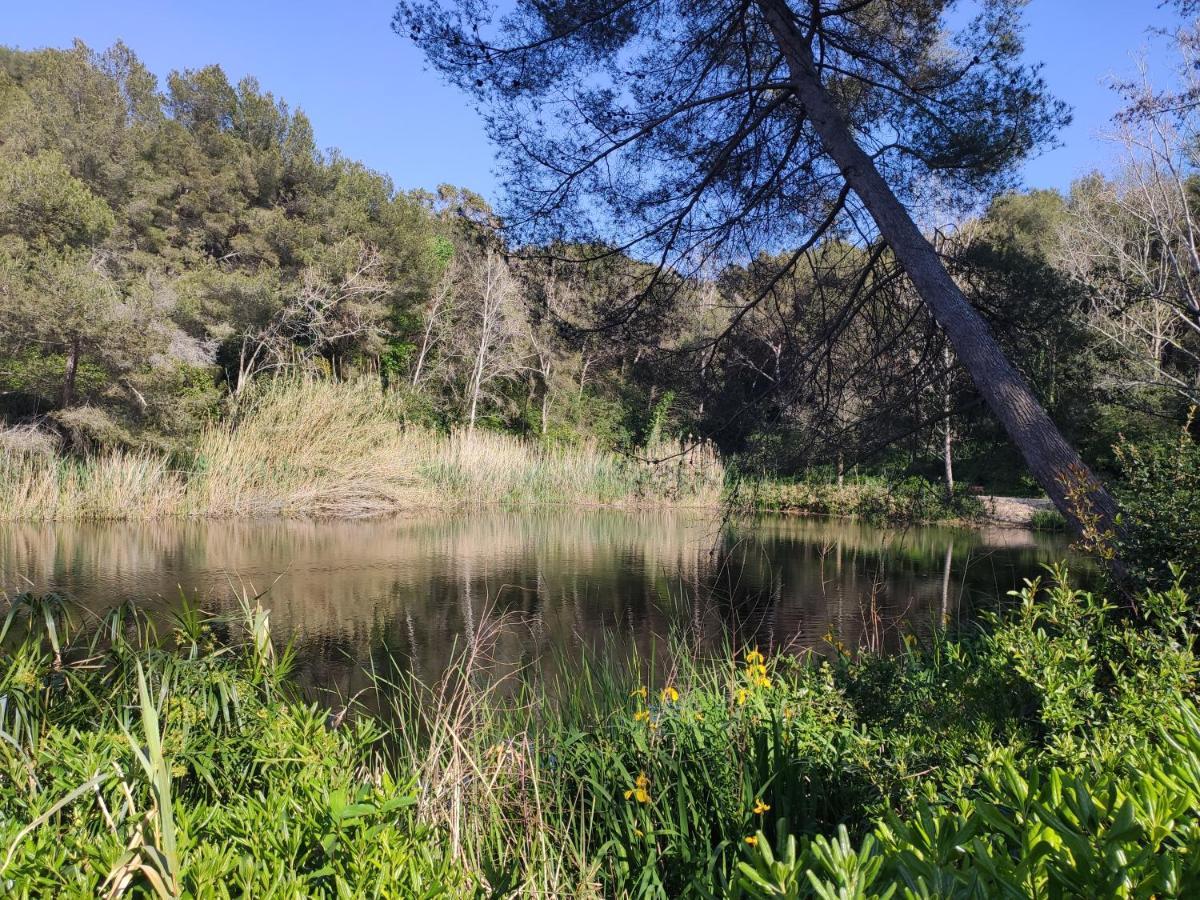 Domaine De La Coudouliere, Vue Mer, Plage, Piscine Et Parc Six-Fours-les-Plages Dış mekan fotoğraf